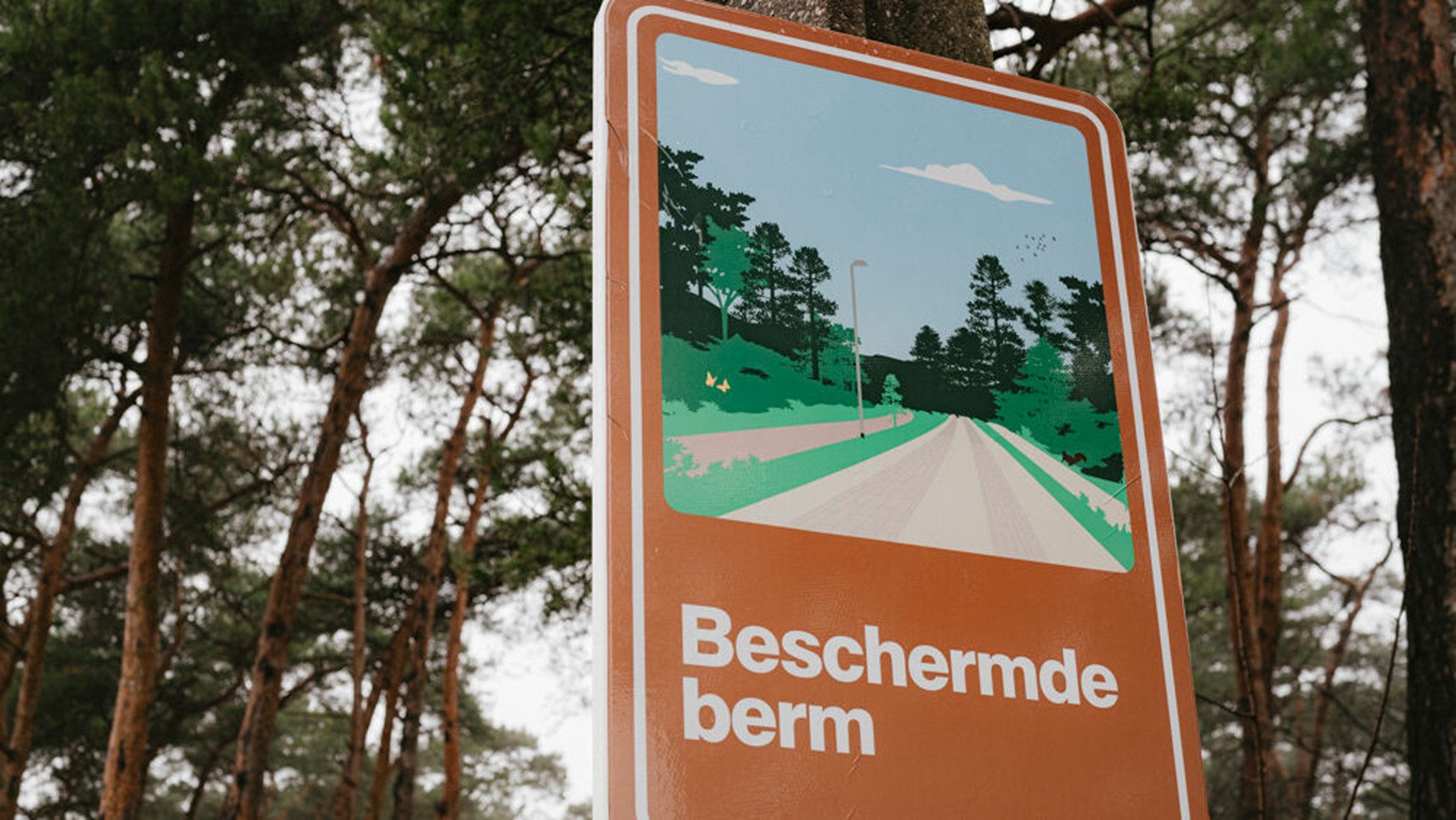 beschermde berm