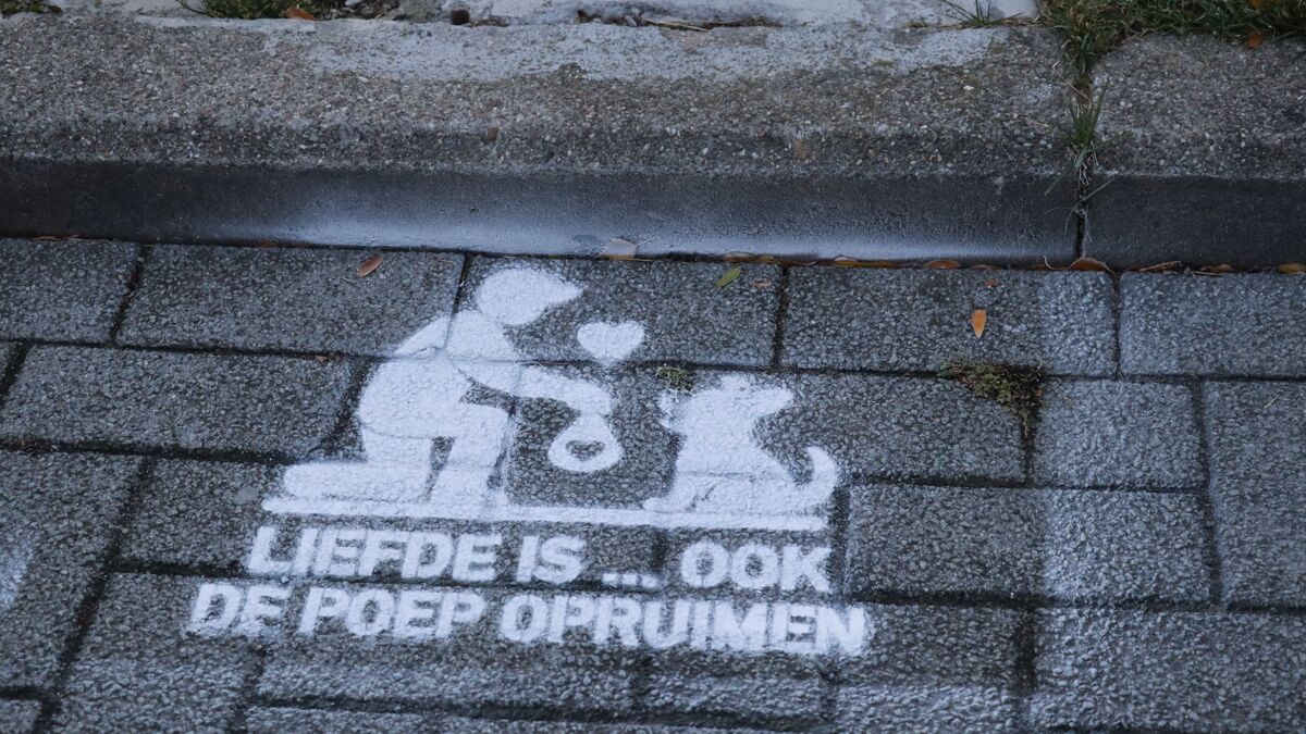 Scherpenheuvel-Zichem