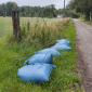 sluikstort Geel