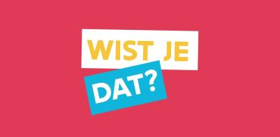 flesje